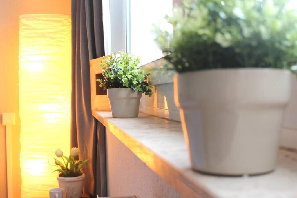 Apartment Bella Chemnitz Zewnętrze zdjęcie